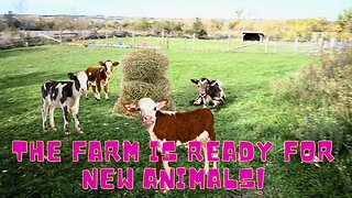 All Set Up For THE Next ANIMALS On Our FARM!