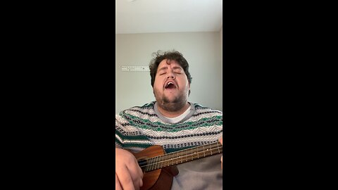 Incubus “The Warmth” Ukulele Cover