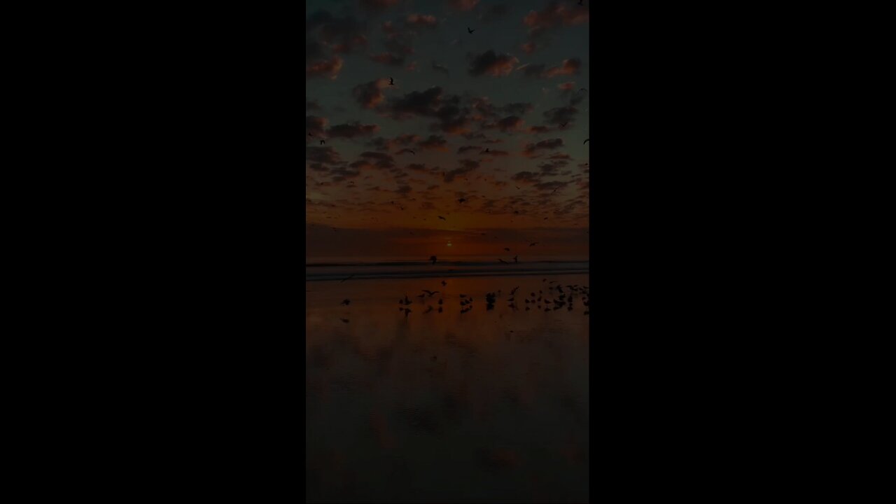 #القرآن_الكريم