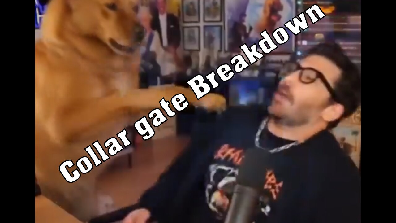 Battle Hasan! Collar gate breakdown