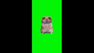 I Just Wanna Hamster | Green Screen