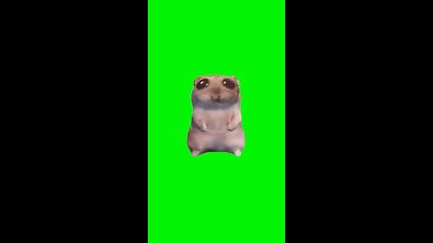 I Just Wanna Hamster | Green Screen