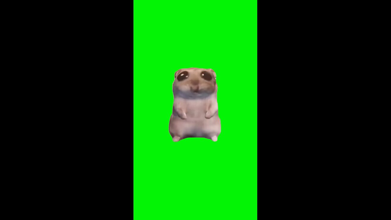 I Just Wanna Hamster | Green Screen