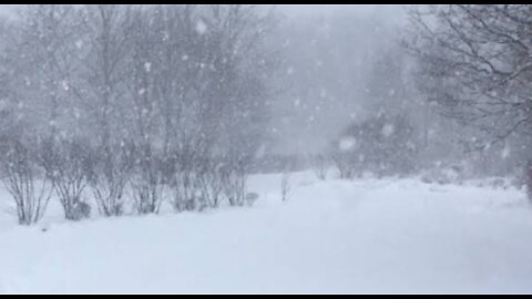 IT'S SNOWING SIDEWAYS!