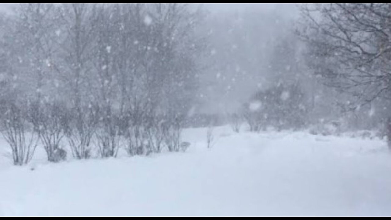 IT'S SNOWING SIDEWAYS!