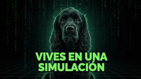 Vives en una Simulación: Tu Vida Es un Juego y No Es Casualidad Que Estés Aquí