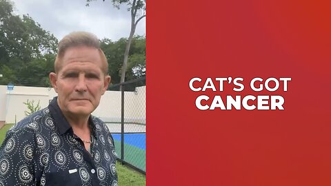 CATS 🐈 GOT CANCER ☢️ THE VETERINARIAN ANSWER 💰