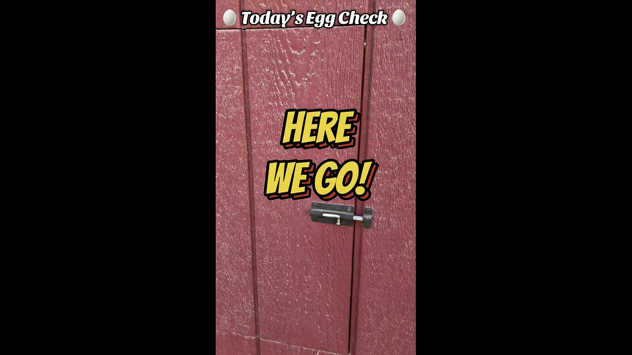 🥚 Monday’s Egg Check! 🥚 #shorts