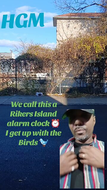 Dabrand hgm knows show