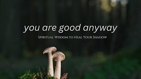 David Wilcock_Healing Your Shadow-2