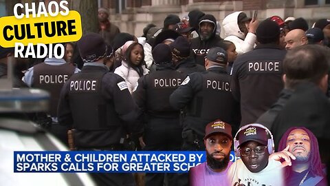 A Chicago Mother And Son Get Jumped By Pre-Teen