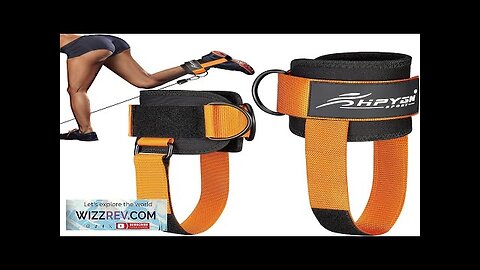 Ankle Strap for Cable Machine Padded Ankle Straps for Cable Machine Kickbacks Review