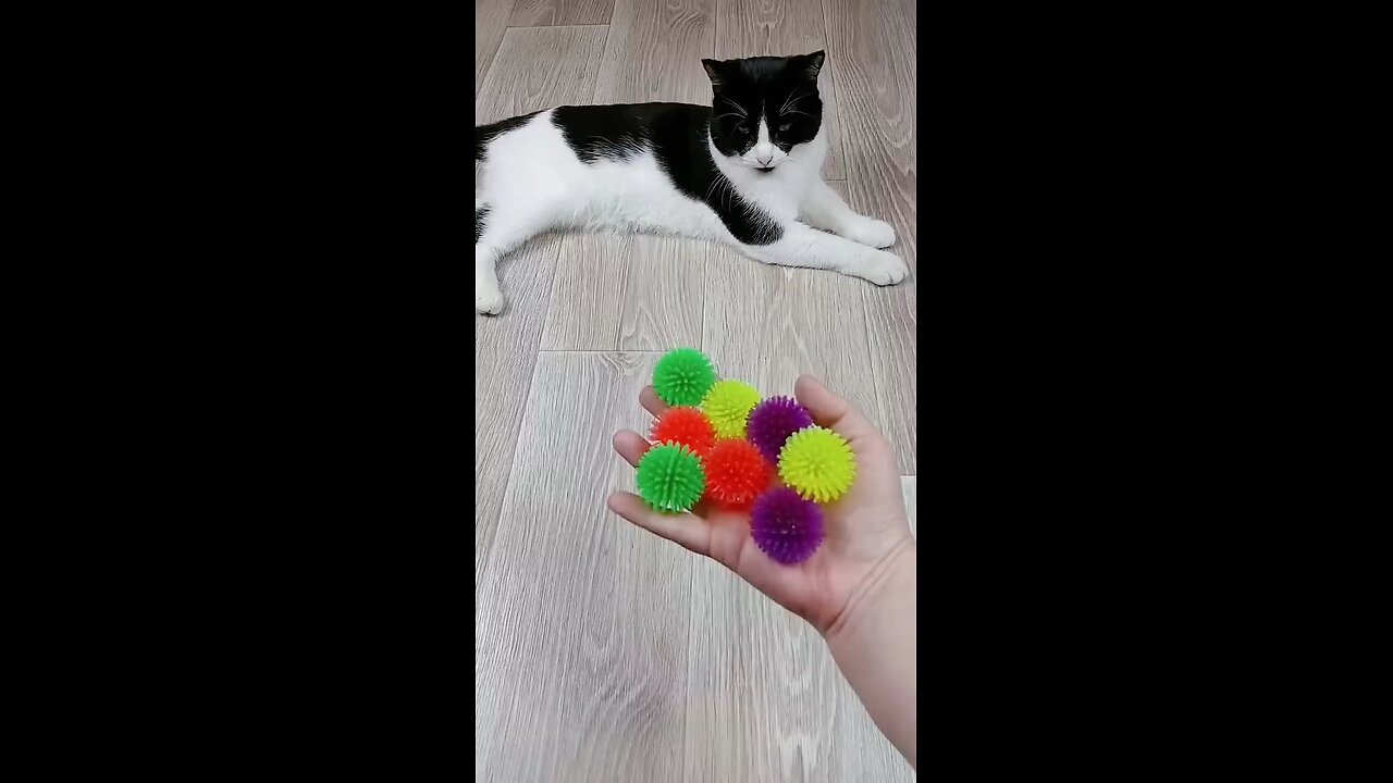 Oddly Satisfying Moments You Can’t Look Away From”