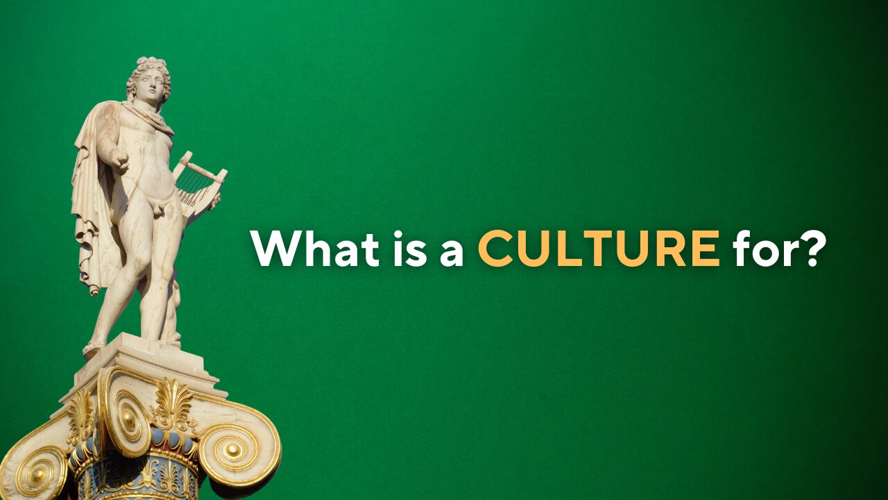 What is a CULTURE for?