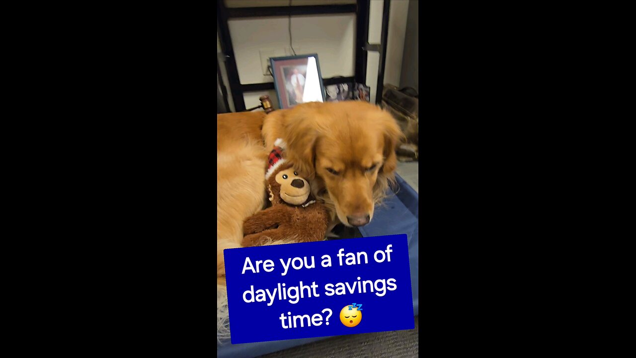 Are you a fan of daylight savings time?