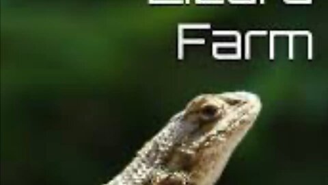 Lizard Farm: Exposing the Cracks in GEICO’s Empire