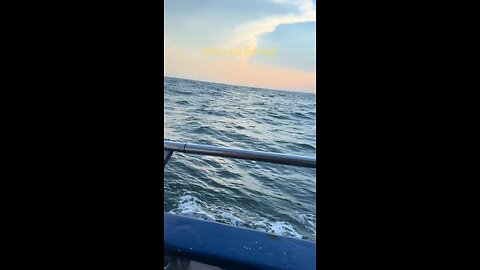 Deep sea fishing trip SC