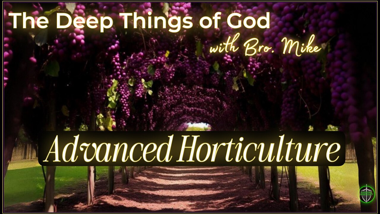 Sunday Podcast 112 with Bro Mike 122924