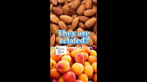 Why Almond pairs so well with Apricot