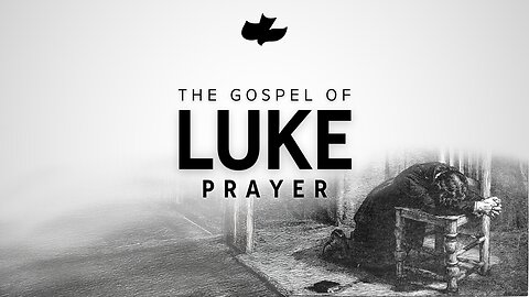 Sunday 11.30.2025 11AM