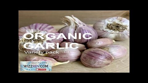 *NEW!* All-in-One Organic Garlic Variety Pack – Seeds Review