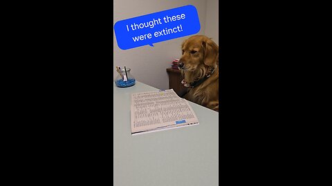 I thought these were extinct! 🤣