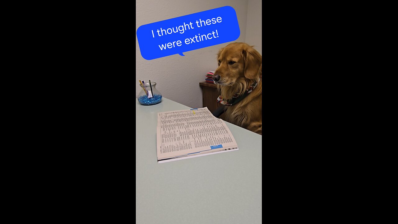 I thought these were extinct! 🤣