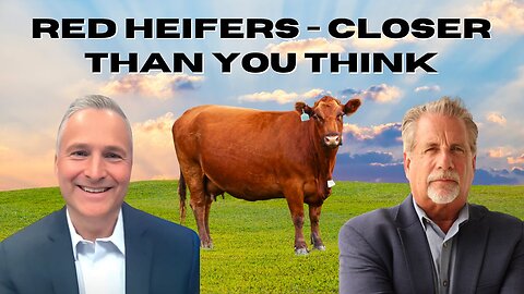 Prophecy Unfolding NOW: The 10 Kings & Red Heifers - Closer Than You Think! | Pastor Tom & Mondo