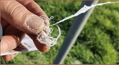 **VERY IMPORTANT** SCIENTISTS CONFIRM FAKE SPIDER WEBS DELIVER BIOLOGICAL PAYLOADS