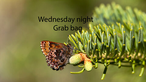 Mike P, Timeline of 1 John. 2-4-26