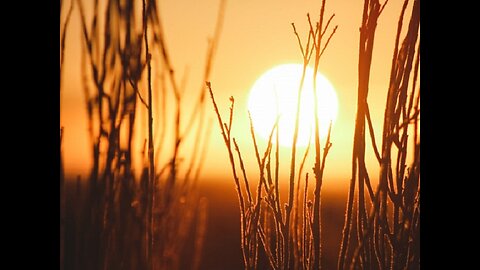 Dalle Antiche Origini del Natale (Sol Invictus) all’Anno che verrà 💫 nel … 2026 #solstiziodiinverno