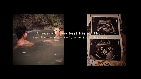 Yard #5 | Completing Chapter 1 | The Aestheticlawns Project