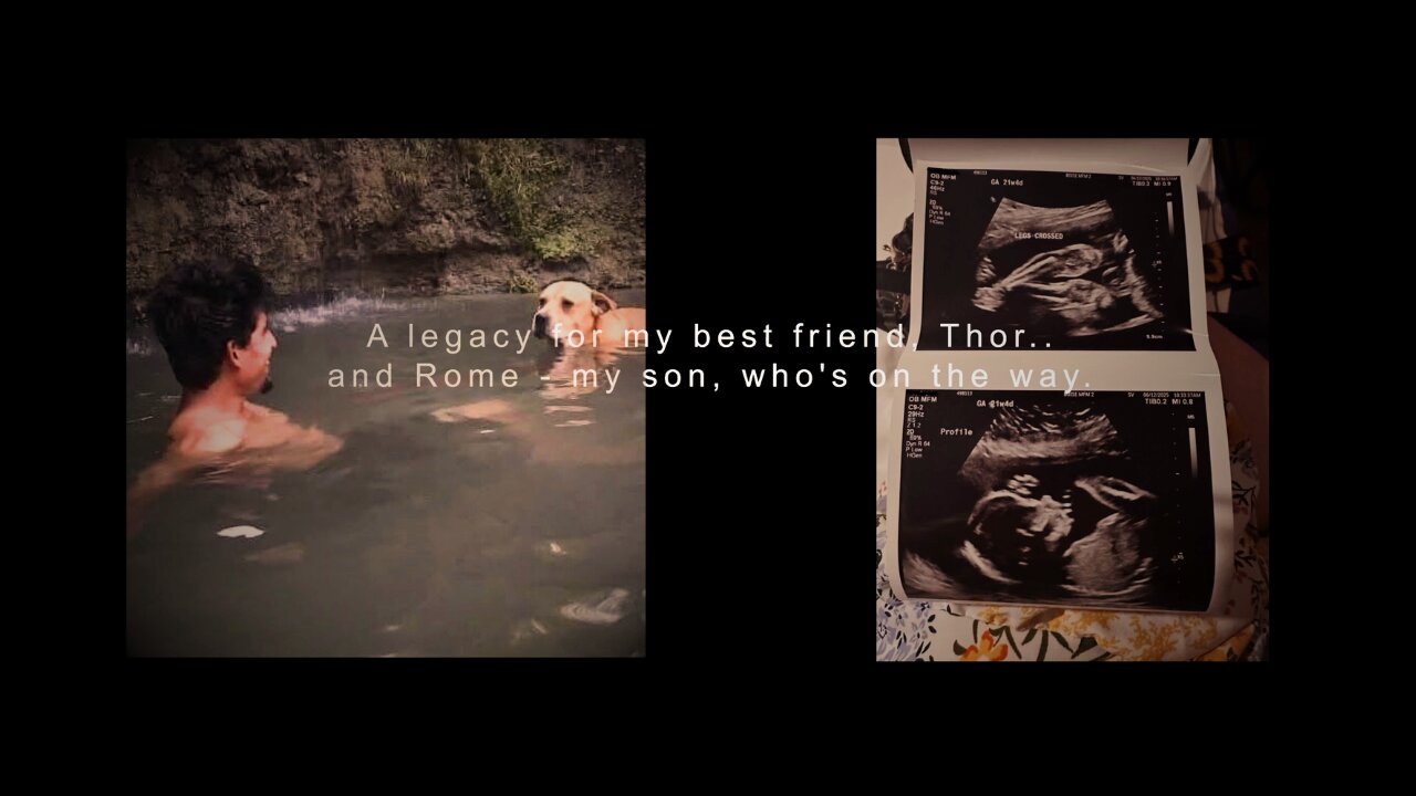 Yard #5 | Completing Chapter 1 | The Aestheticlawns Project