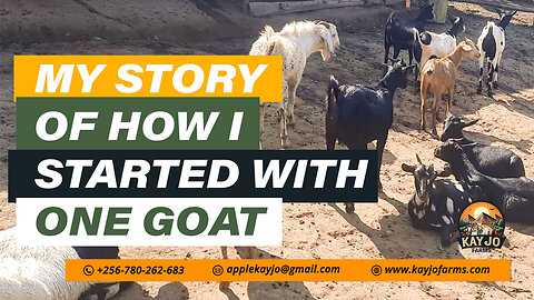 My Story Of How I Started With One Goat | ep20 #goatfarming #farming