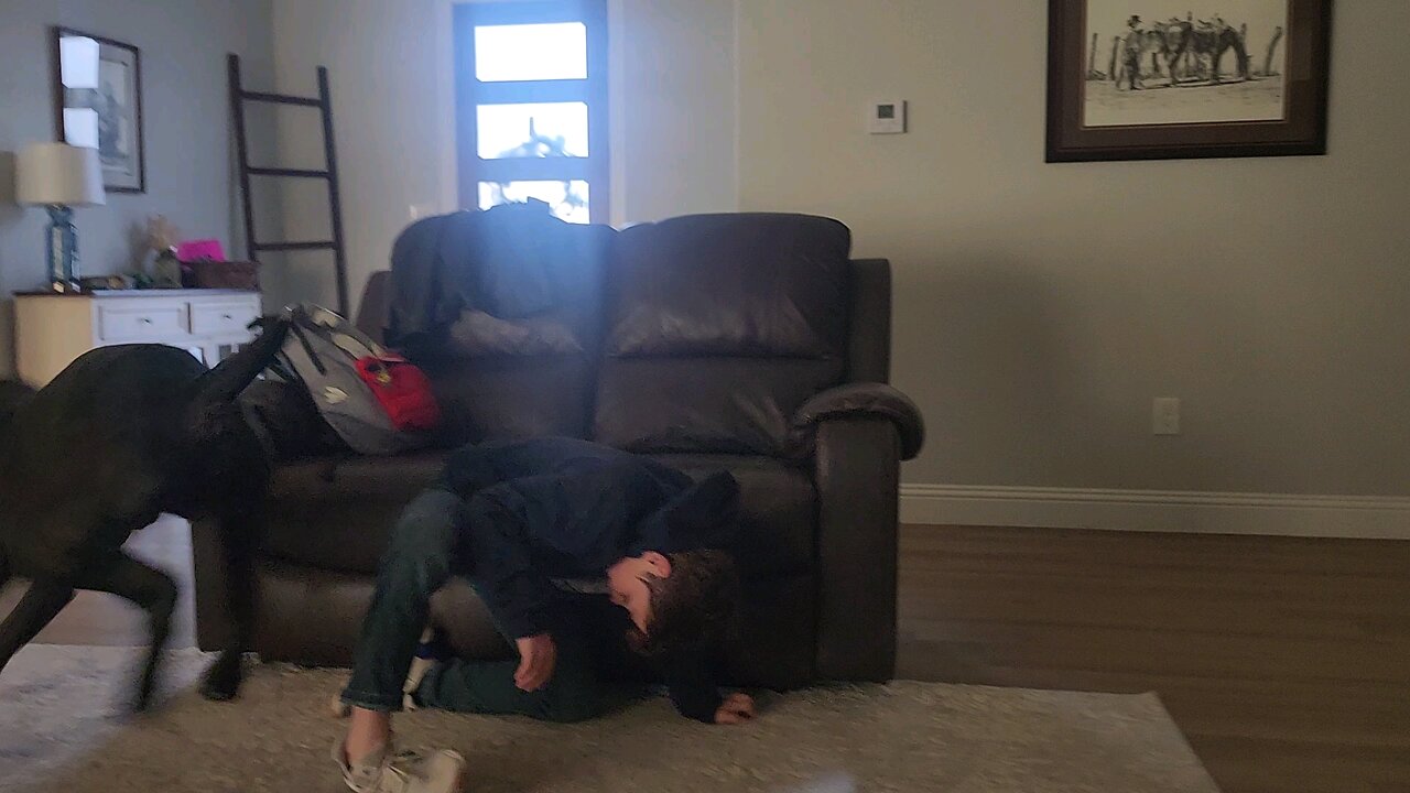 A Boy and His Dog
