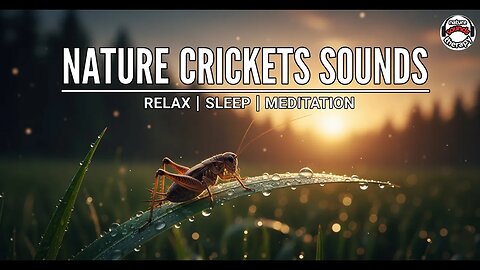 12 Hours of Crickets Sounds for Deep Sleep (Black Screen)