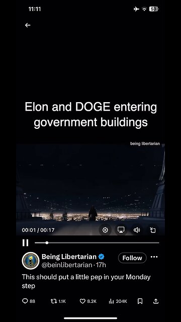 Elon Musk DOGE
