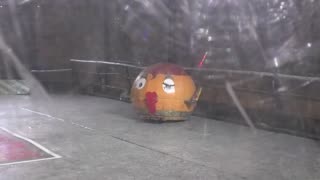 Extreme Robots Gloucester 2025: Destruct-A-Bubble Vs PO4 Vs The Hungry Hippo