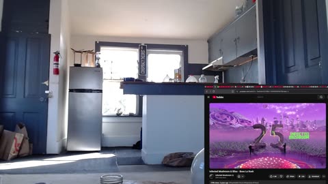 Lev &Virginia????????? Spider Pairing: Audax (Bold) Jumping Spider. Christian Love LIVE