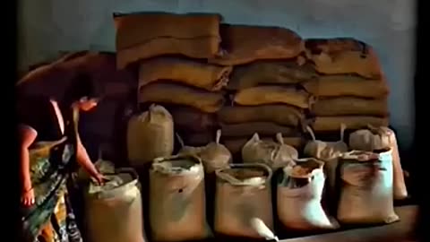 Majburi_ka_fayda__#shorts_#viralvideo