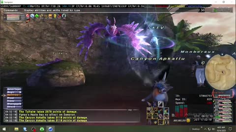 Playing Final Fantasy XI Online