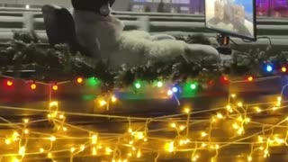 🎮🕹'Streamers' juegan a Counter-Strike dentro de remolque en movimiento