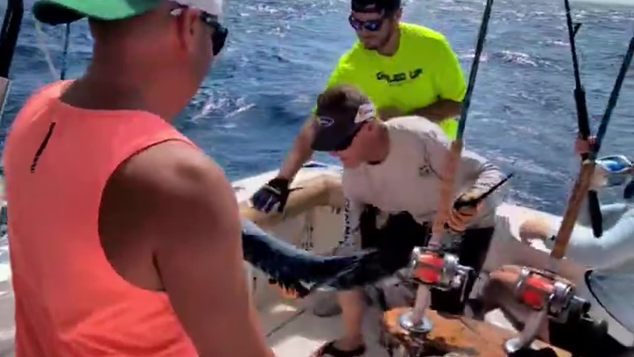 AmericanXLive 1.13.26