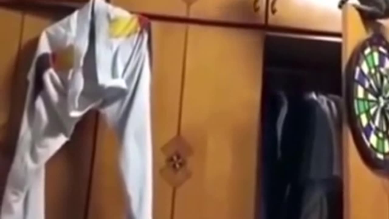 Funny Cats & Dogs