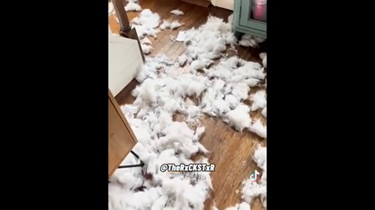 Need a laugh here and there ;)