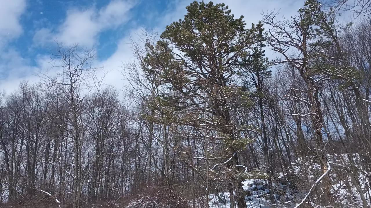 1st Vid Feb 17 24 - Snowy Mountain, Blah Blah & Quick End Times Rant