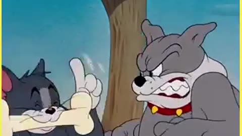 Tom & Jerry cartoon