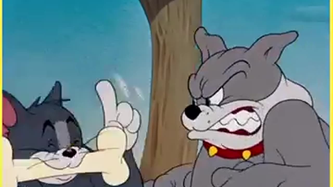 Tom & Jerry cartoon