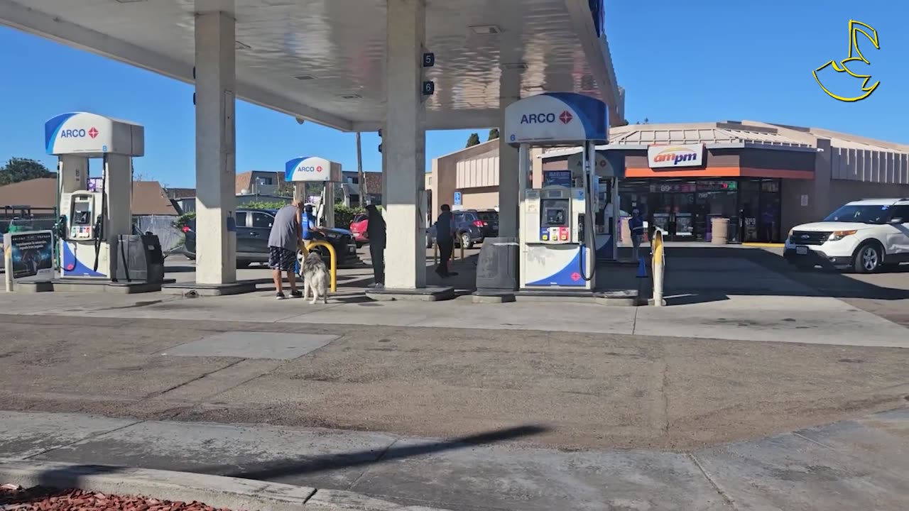 Honda's Free Gas Giveaway in Chula Vista - JDATA17 - FULL VIDEO