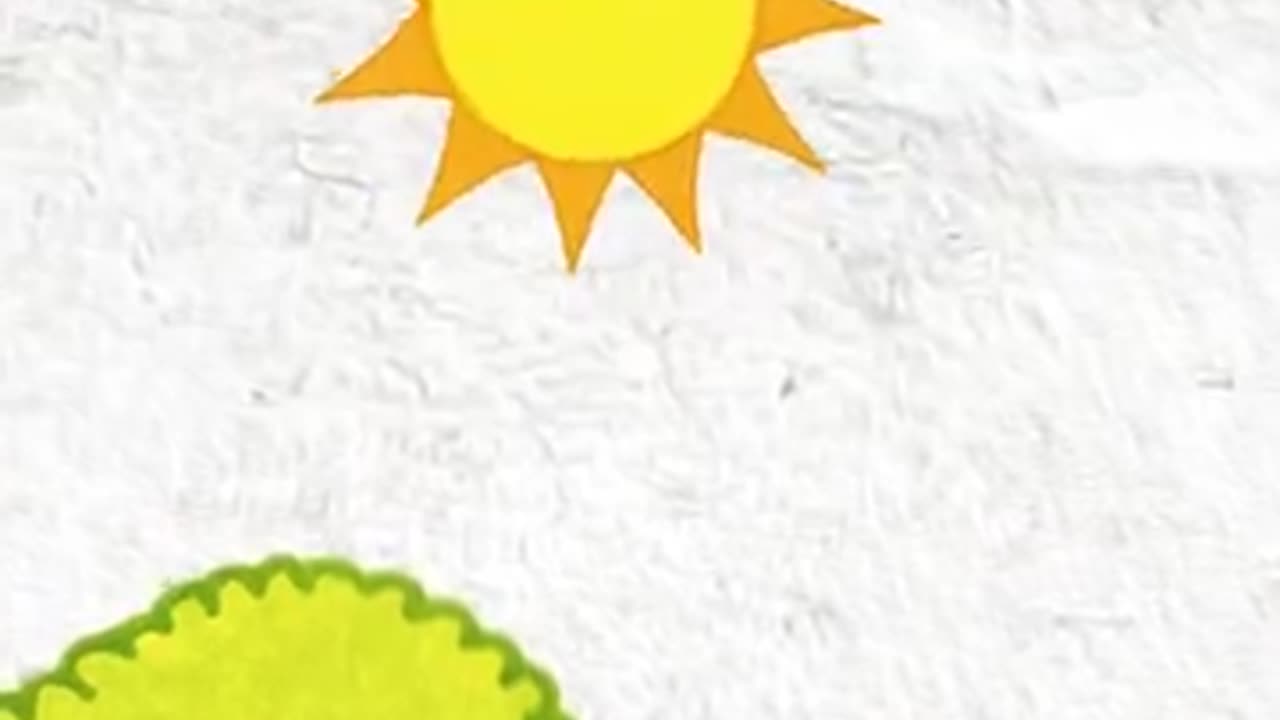 Important information